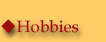 Hobbies